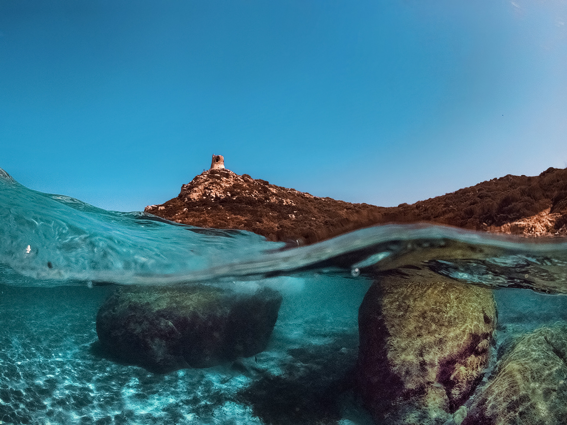 WWF Sardegna e Italia Nostra Sardegna