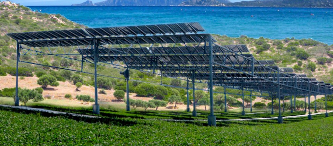 wwf_fotovoltaico_sardegna_1080x1080_nologo